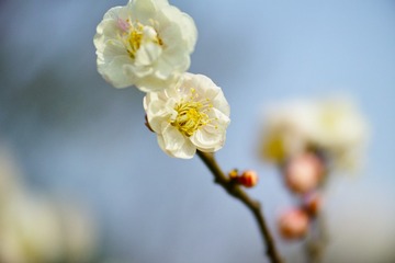 SDIM0633