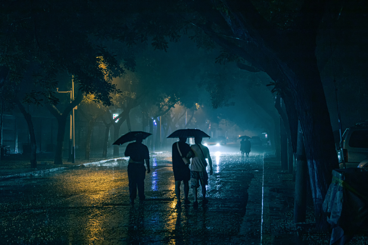 雨夜归途
