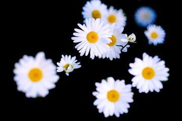 75F23A9C-EEAB-43B1-857B-3537AAB13EB4/L0/001