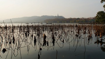 DSC02824_