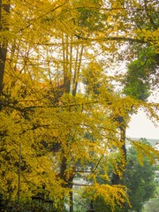 32D439AC-2DAB-4C4D-824A-CBC5038DEF4A/L0/001