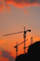 aa吊塔建起金色城李才佳