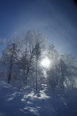 _IGP5959