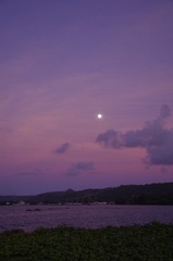 _IGP0487