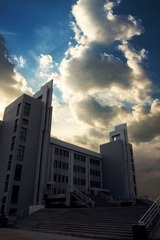 _MG_0828X3.jpg