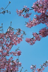 0B65D630-052B-4A2B-AA8C-8F0454CD39E3/L0/001