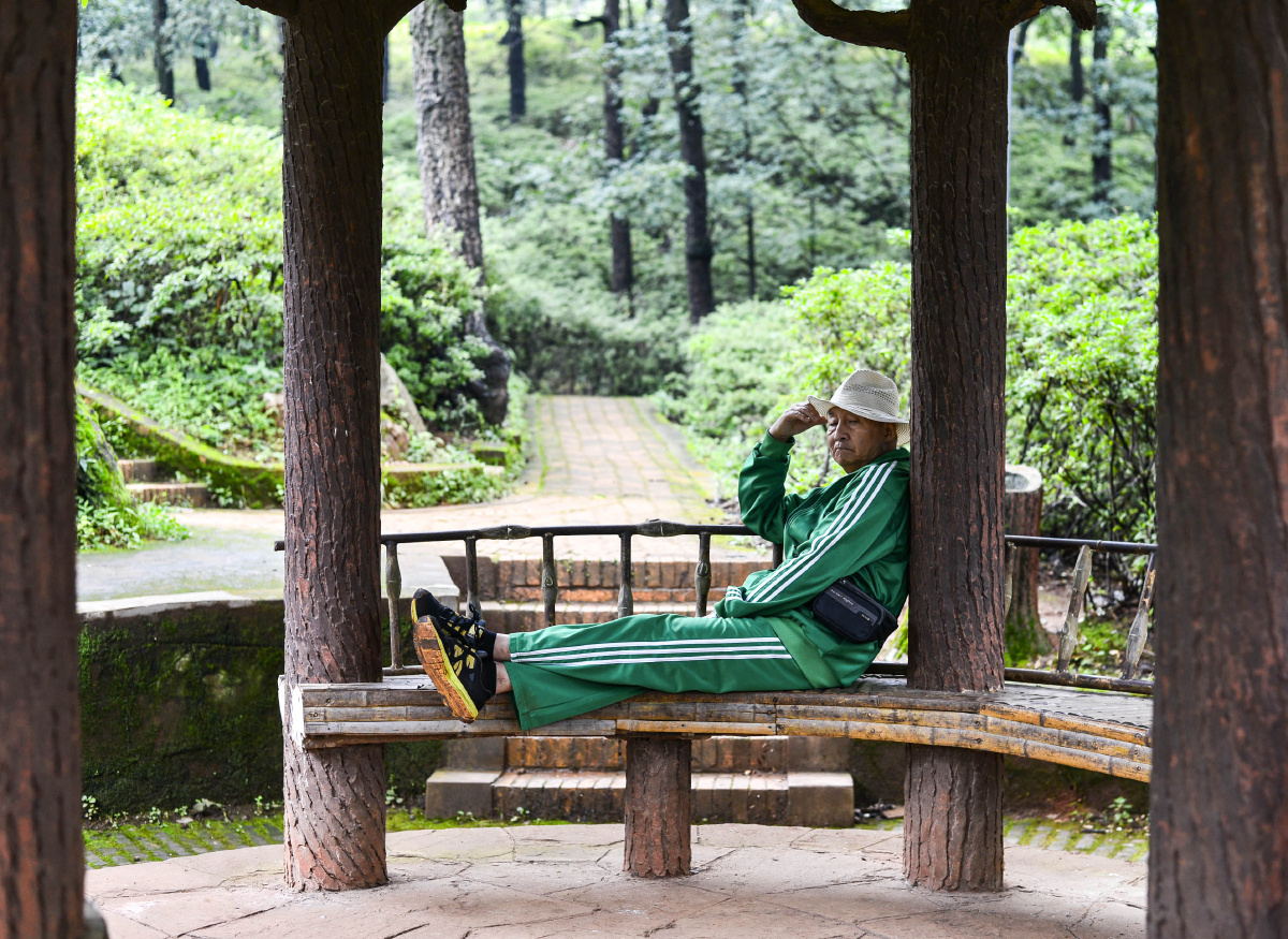 因过竹院逢僧话,偷的浮生半日闲 - 尼康, 50mm