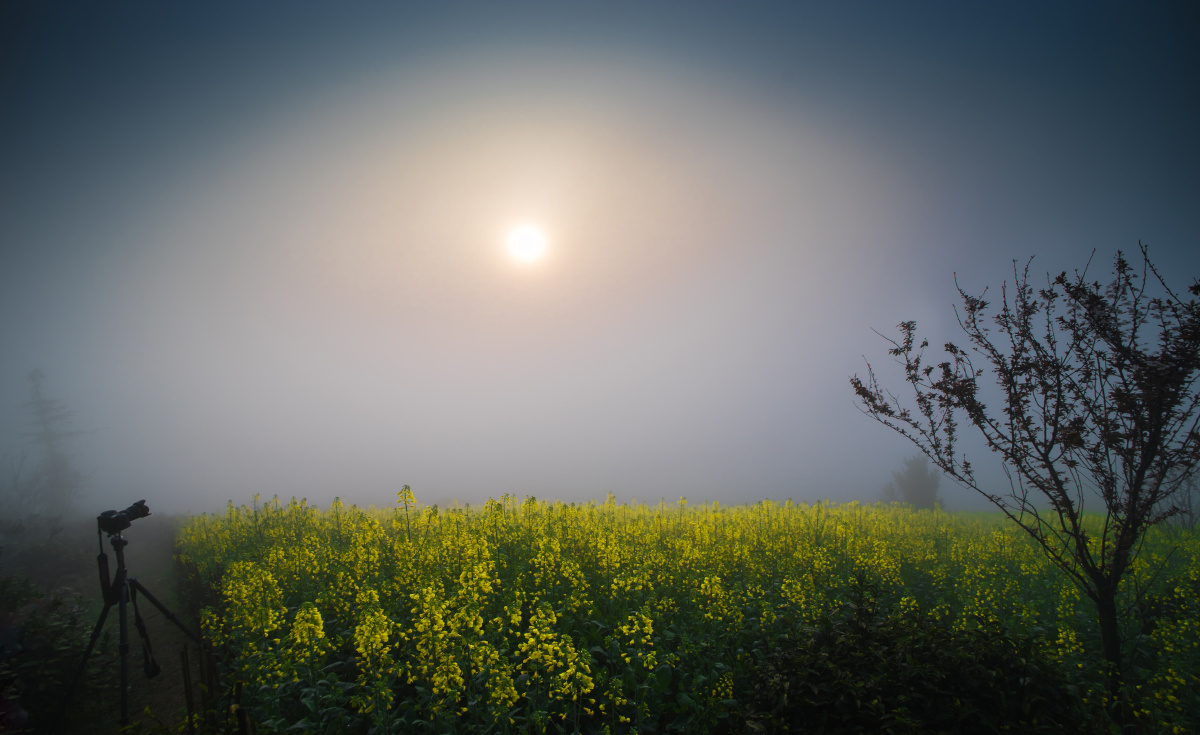 色彩风光索尼朦胧后期油菜花 114 打开微信,使用"扫一扫"即可将网页