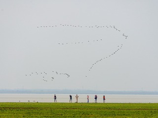 湖畔