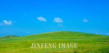 JIN_9178