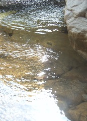 F62623D1-38DD-4556-AC9D-0784AE62D488/L0/001