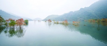 清秋04