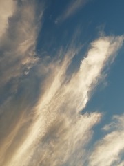 1395121