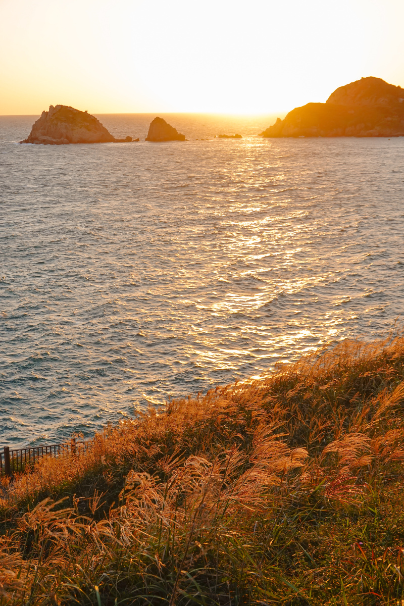 枸杞岛上的日出