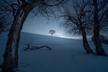 xx_DSC5001-1