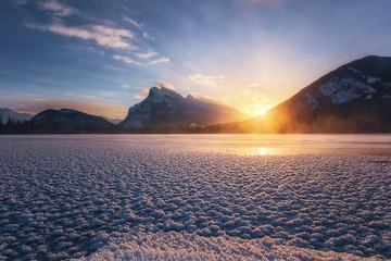 20170102_Banff_Ice Flowers