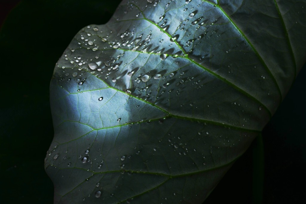 <br />
快过来，<br />
让我为你遮遮雨。<br />
<br />
