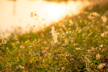 _DSC0602