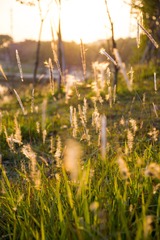_DSC0610