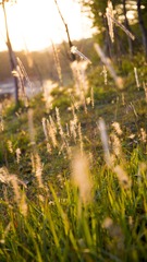 _DSC0609