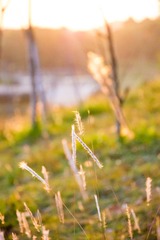 _DSC0615