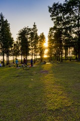 _DSC0754
