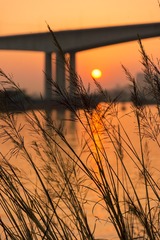_DSC0827