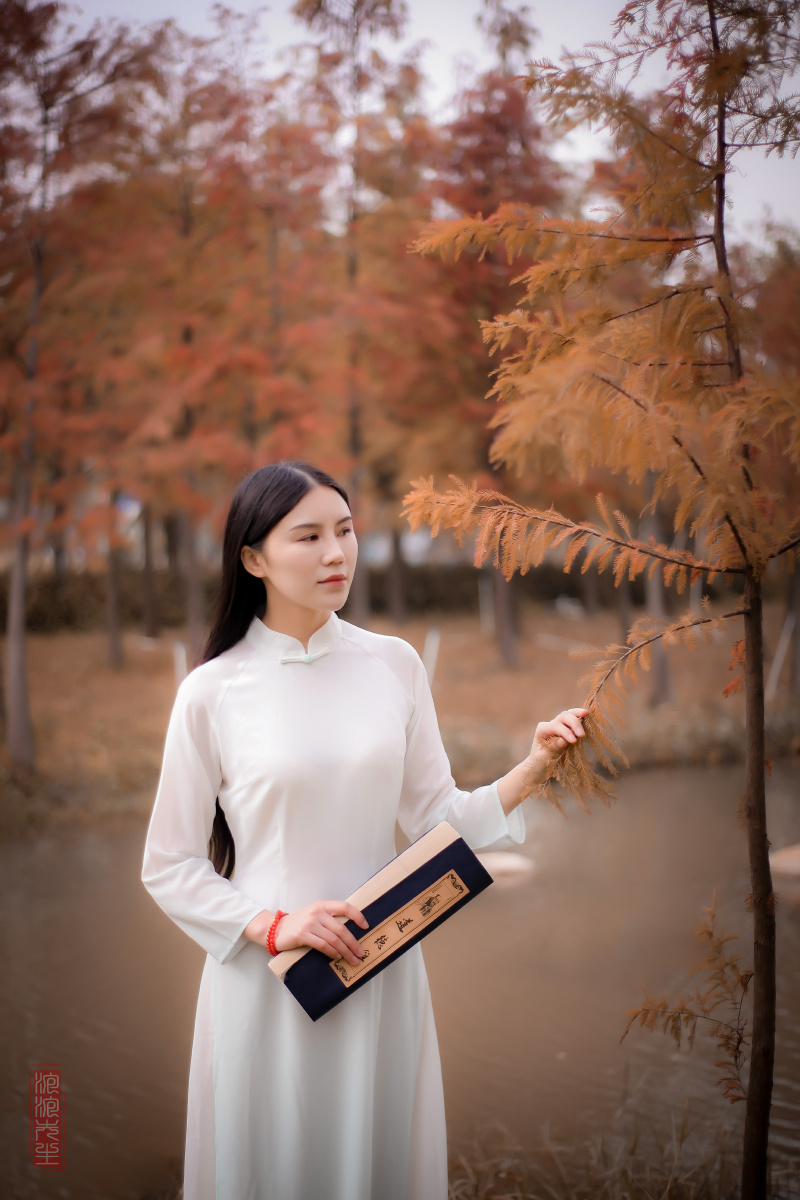 错过所有花期月满不参与浮华世间万千出境羽墨