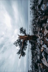 001