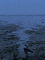 D3D064EA-598A-4551-A71D-B442D844D117/L0/001