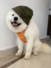 001