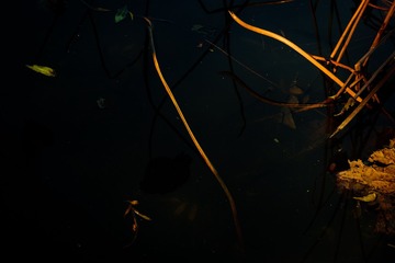 1000077188