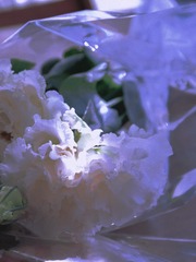 6E8D76B9-1595-43A8-9DCB-09855D83CC1E/L0/001