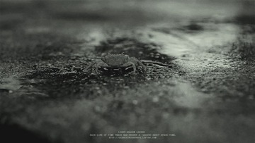 风雨来临2