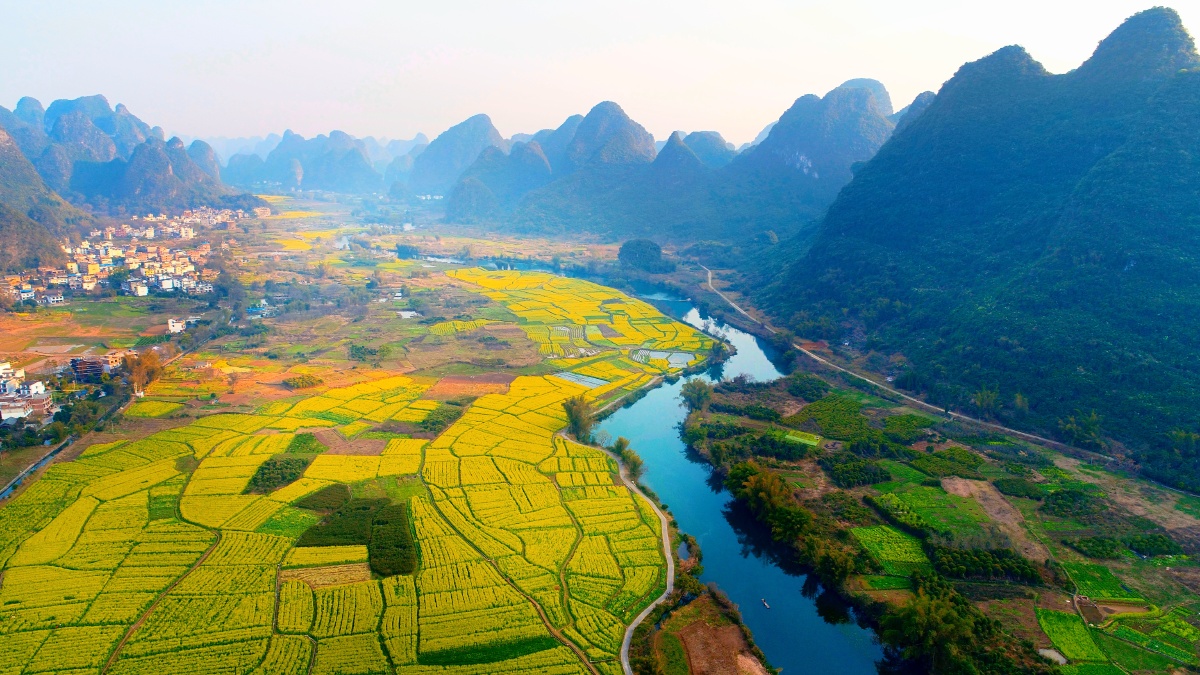 阳朔遇龙河的油菜花