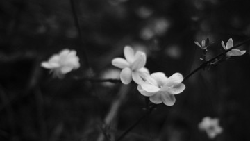 2021_0308_21210600