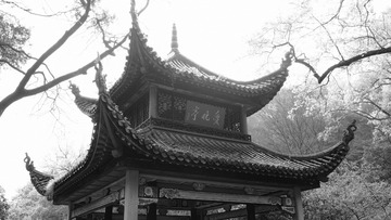 2021_0315_21593000