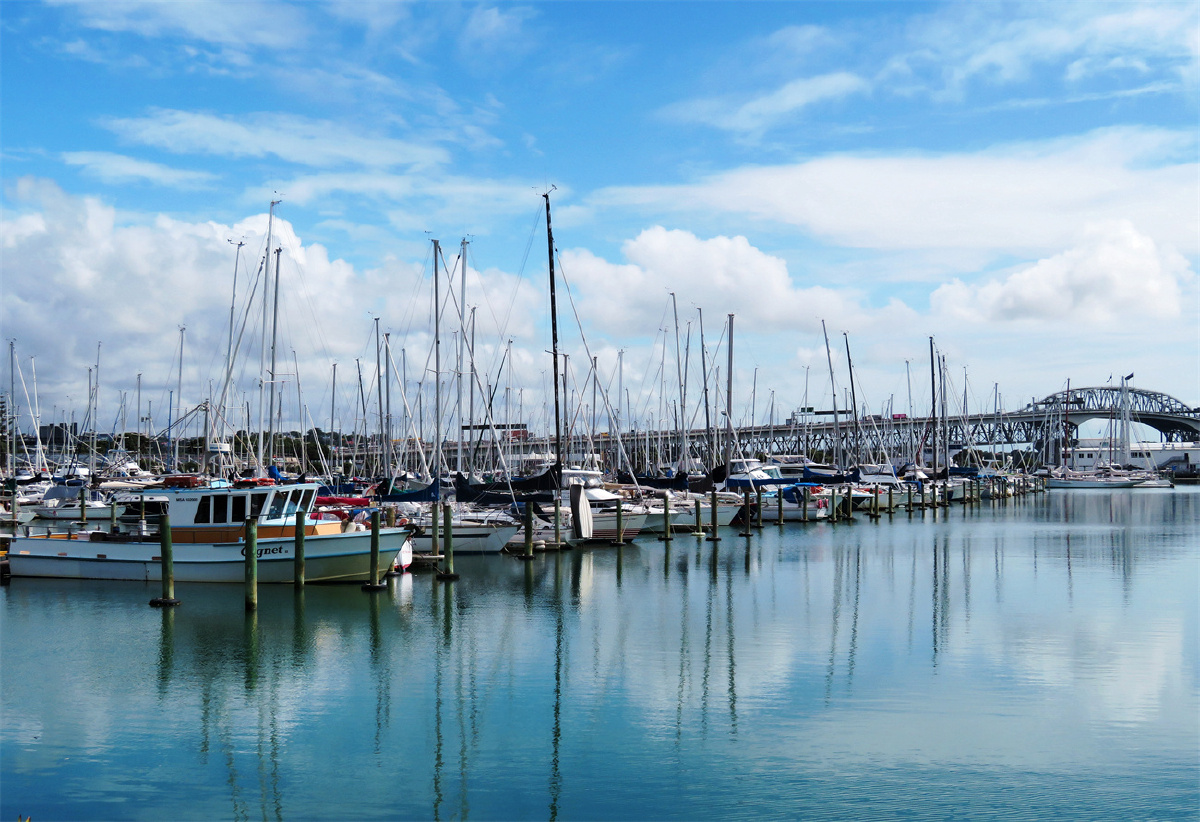 奥克兰港游艇码头风光