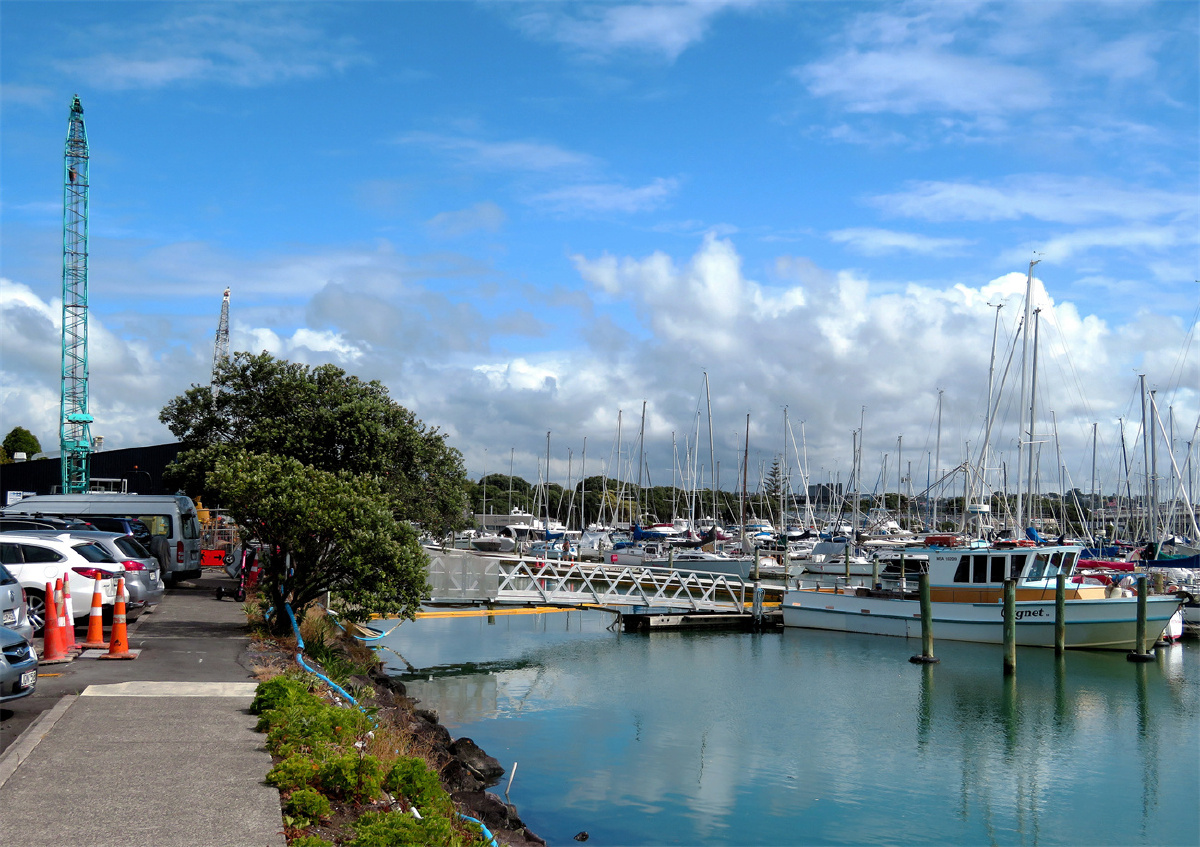 奥克兰港游艇码头风光