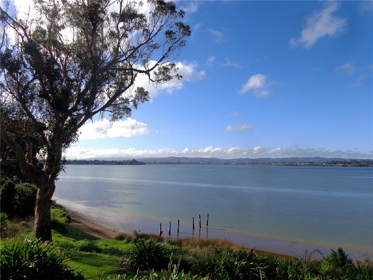 奥克兰海滨风景随拍