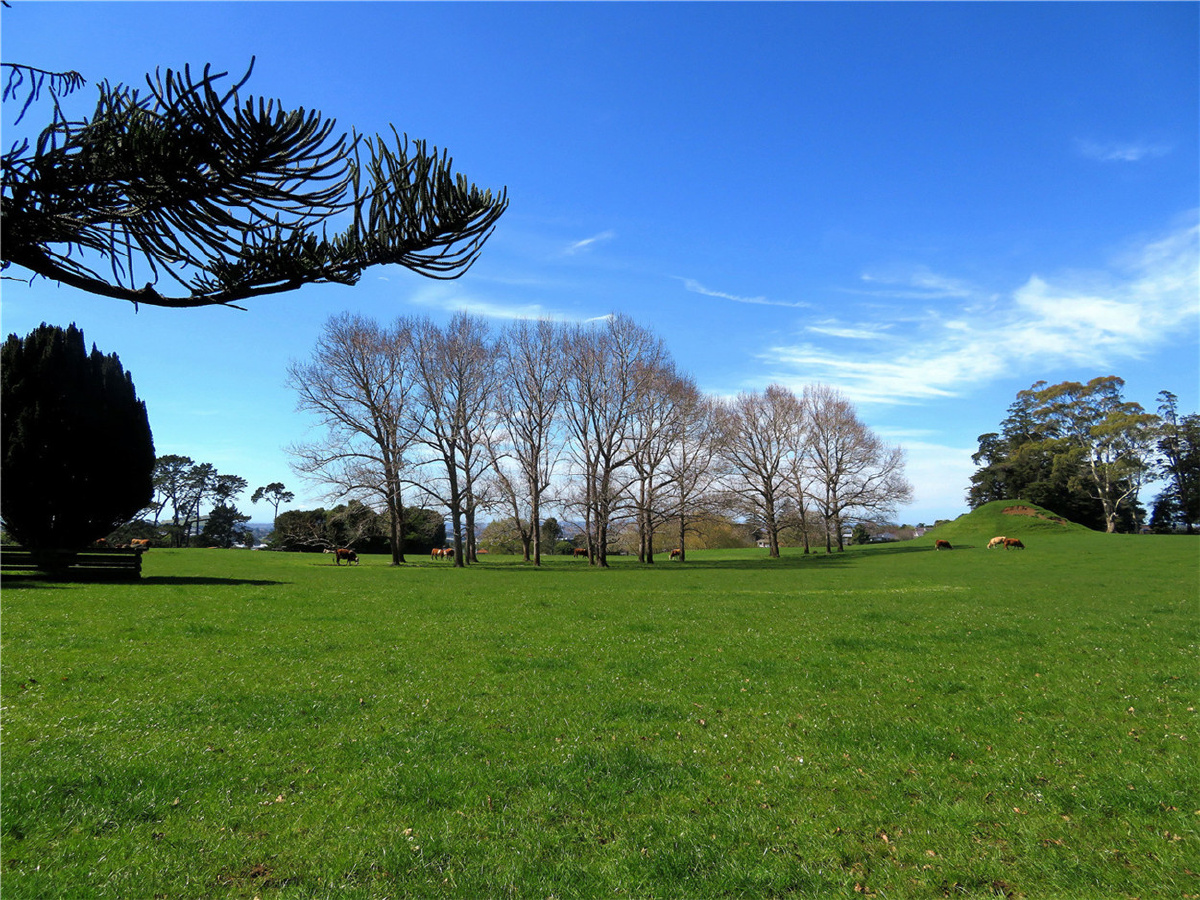 新西兰自然风光