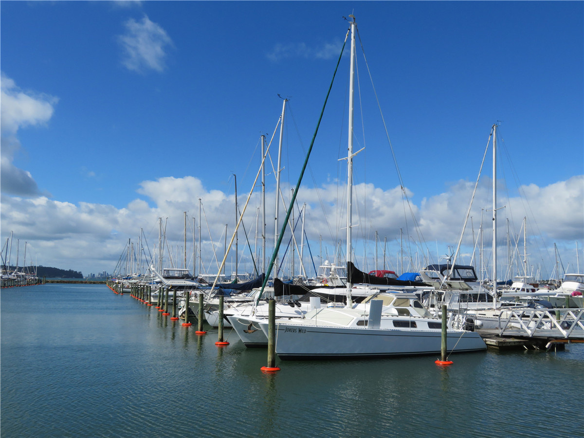 新西兰奥克兰游艇码头风光