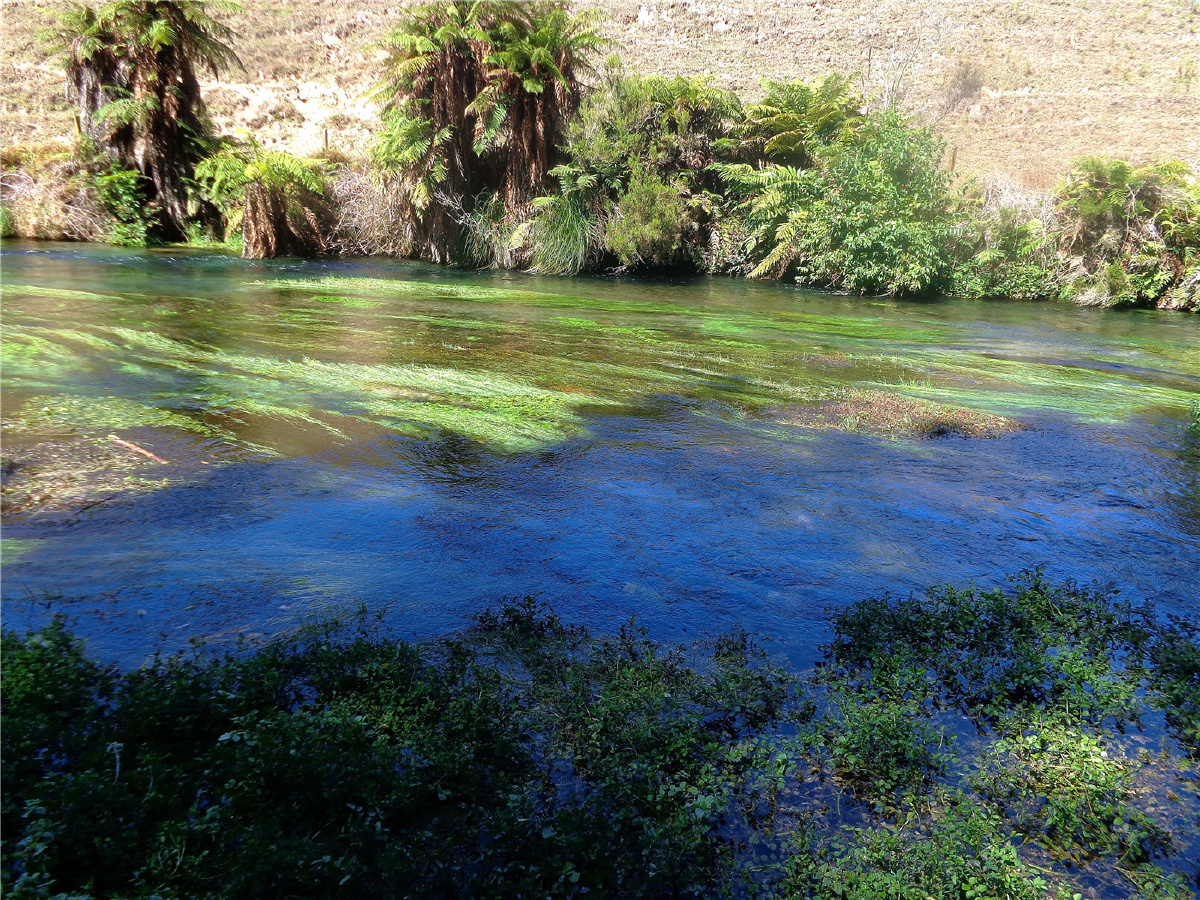 新西兰蓝泉自然风光—5