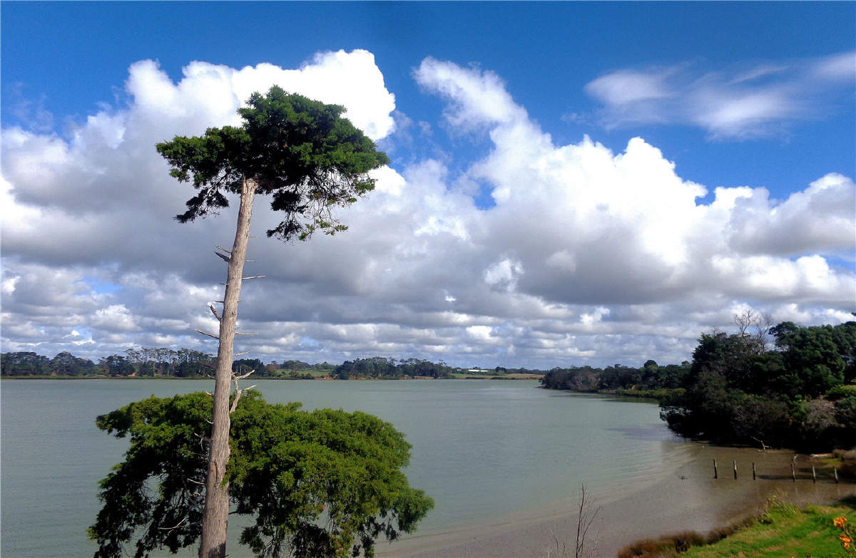 清静的海边风景