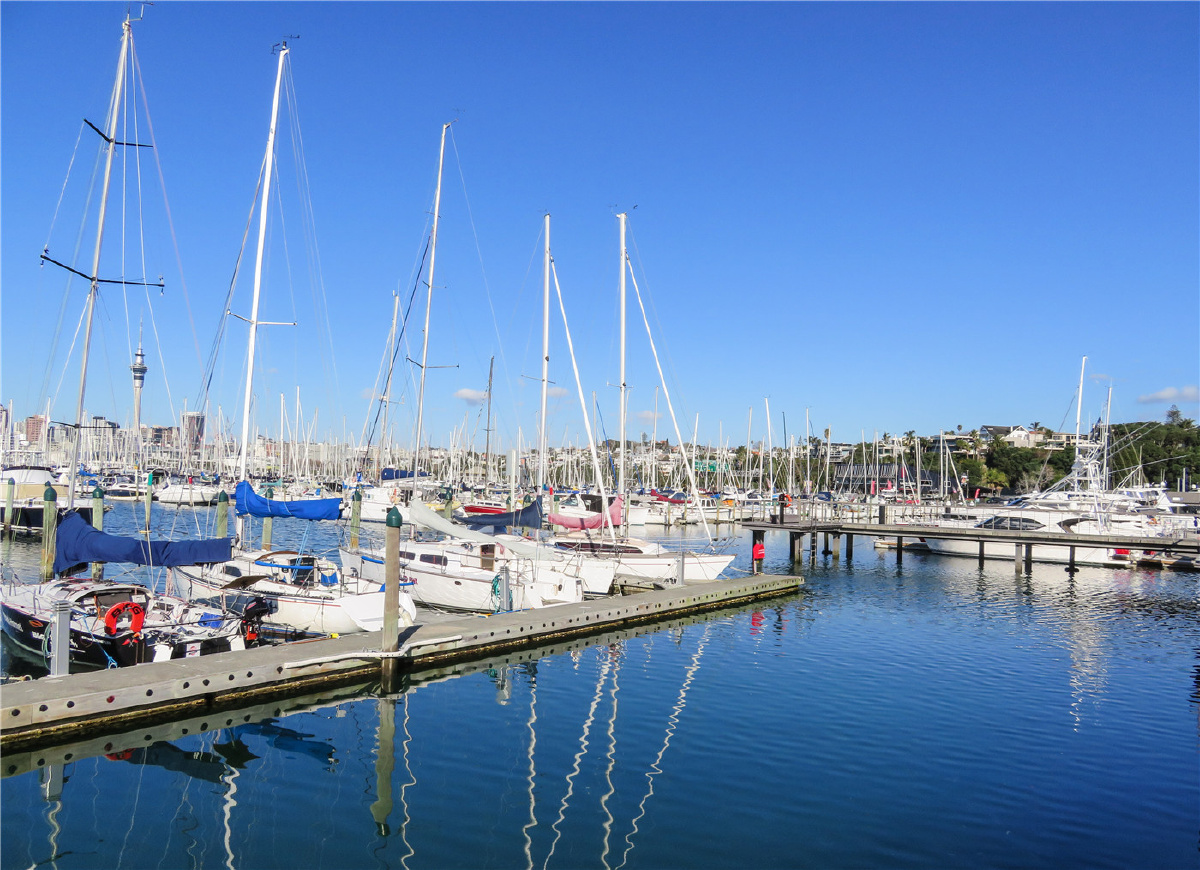 奥克兰游艇码头风景