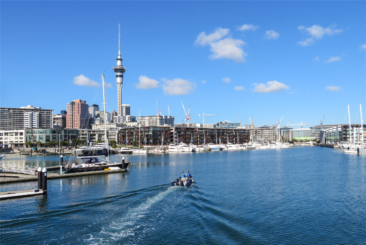 奥克兰城市风光