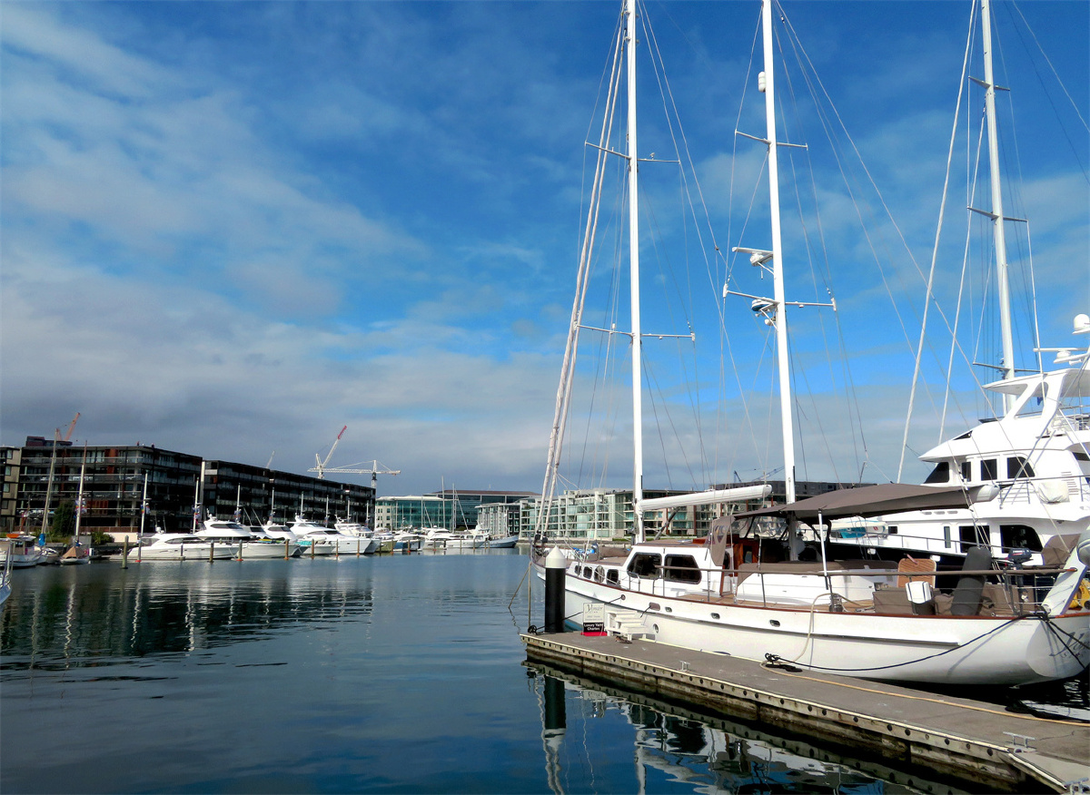 奥克兰王子码头风景