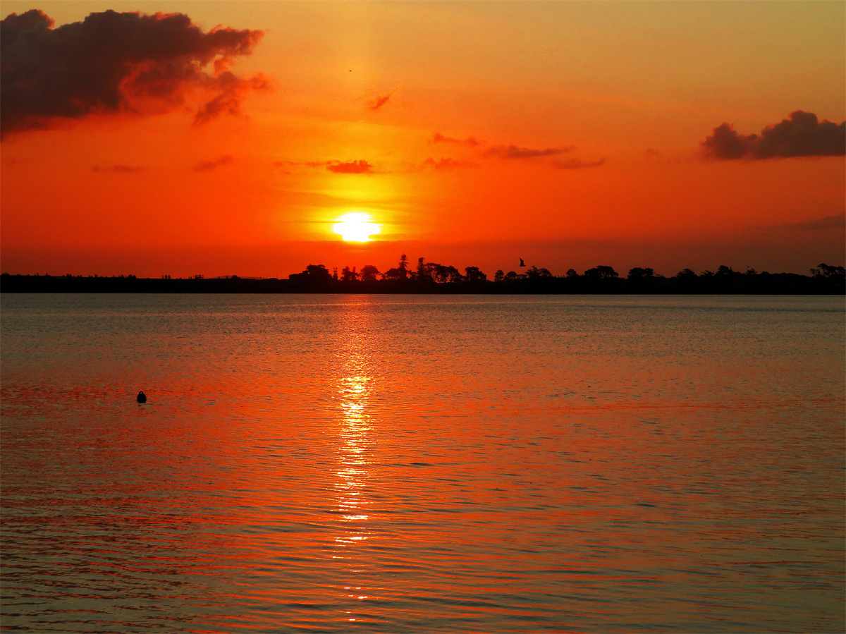 新西兰海滨休闲风景