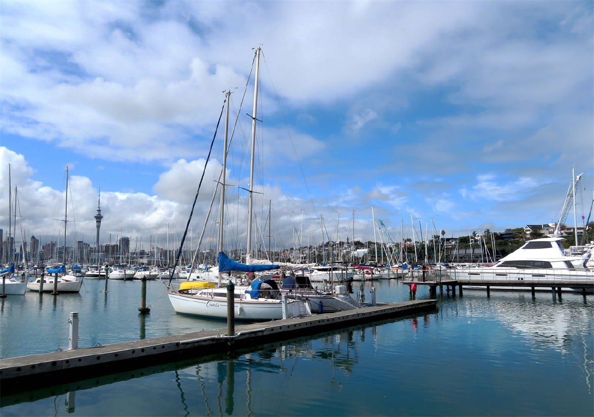 奥克兰港游艇码头风光