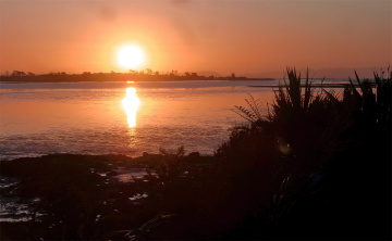 DSC02445